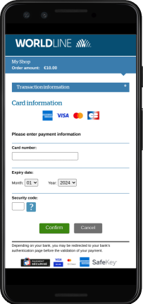 Payment data entry page 