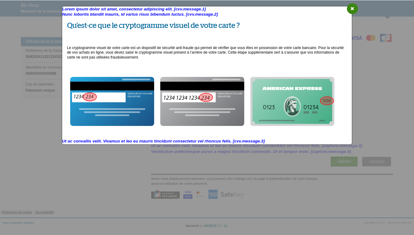 Page d'aide à la saisie du cryptogramme visuel indiquant l'emplacement des messages personnalisables 