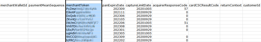 Screenshot of a log snippet showing the merchantToken column